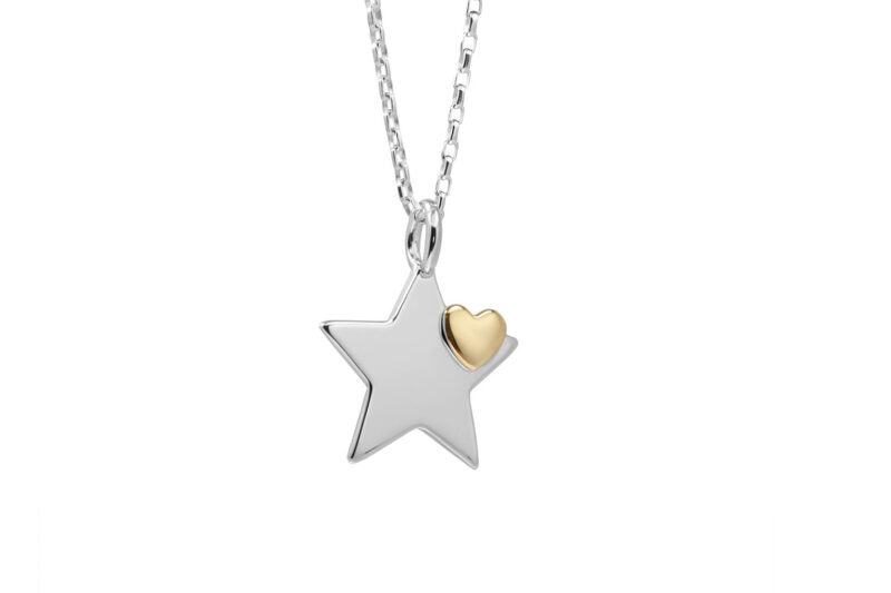 You're A Star With A Heart of Gold Pendant