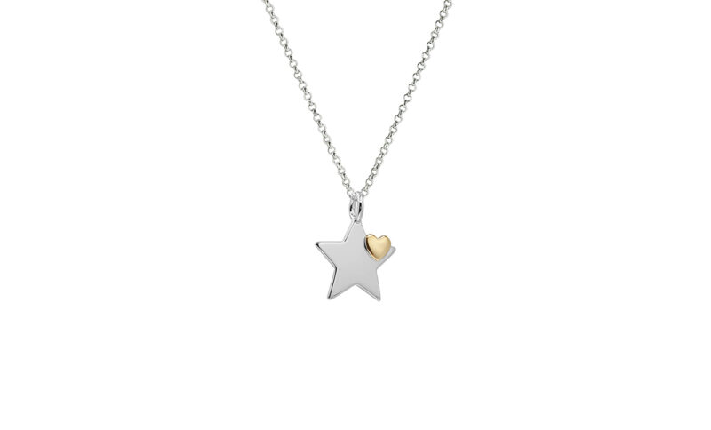 You're A Star With A Heart of Gold Pendant