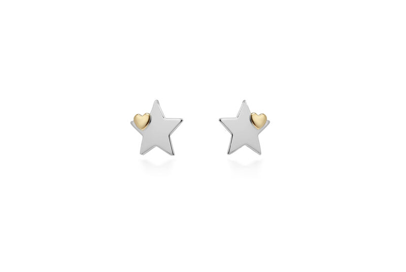 You're A Star With A Heart Of Gold Earrings